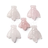 Natural Rose Quartz Display Decorations DJEW-P019-B01-1