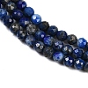 Natural Lapis Lazuli Beads Strands G-Z035-A01-02A-3