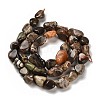 Natural Ocean Jasper Beads Strands G-P497-01E-76-3