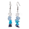 Natural Mixed Stone & Synthetic Turquoise Dangle Earrings EJEW-JE06030-4