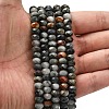 Natural Eagle Eye Stone Beads Strands G-Z111-A11-02-2