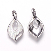 Freshwater Shell Pendants ZIRC-F057-01D-2