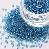 Glass Cylinder Beads SEED-S047-R-004-1