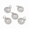 Brass Micro Pave Cubic Zirconia Charms KK-E068-VB197-4