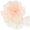 Polyester Lace Ribbon OCOR-WH20018-62E-1