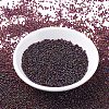 MIYUKI Round Rocailles Beads SEED-G007-RR0367-2