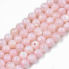 Natural Freshwater Shell Beads Strands X-SHEL-N003-24-B09-1