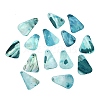 Dyed Natural Shell Pendants SHEL-C010-13E-1