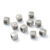 Tarnish Resistant 304 Stainless Steel European Beads STAS-H145-01T-P-2
