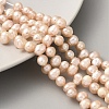 Natural Cultured Freshwater Pearl Beads Strands PEAR-A006-25A-2