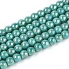 Electroplate Opaque Glass Beads Strands GLAA-T032-P4mm-AB12A-1