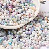 Baking Paint Glass Seed Beads SEED-F005-01A-03-1