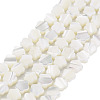 Natural Trochid Shell/Trochus Shell Beads Strands SSHEL-T014-43A-01-1