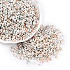 Baking Paint Glass Seed Beads SEED-C003-01I-1