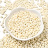Baking Paint Glass Seed Beads SEED-B001-02A-06-2