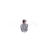 Miniature Glass Empty Wishing Bottles BOTT-PW0006-02H-1