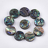 Abalone Shell/Paua Shell Beads SSHEL-T008-06A-1