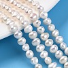 Natural Cultured Freshwater Pearl Beads Strands PEAR-N014-05L-2