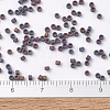 MIYUKI Delica Beads SEED-X0054-DB0884-4