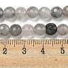 Natural Cloudy Quartz Beads Strands G-E571-A08-01-5