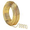Round Anodized Aluminum Wire AW-NB0001-01D-G-1