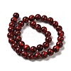 Synthetic Gemstone Dyed Beads Strands G-P507-03B-08-3