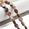 Natural Crazy Agate Beads Strands G-P559-B28-01-2