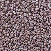 MIYUKI Delica Beads X-SEED-J020-DB2321-2