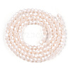 Opaque Solid Color Electroplate Glass Beads Strands EGLA-A039-P2mm-A06-3