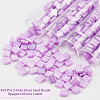  304Pcs 2-Hole Glass Seed Beads SEED-NB0001-70-4