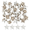 GOMAKERER 30Pcs Zinc Alloy Star Brooch FIND-GO0001-84P-1