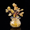 Natural Yellow Quartz Chips Tree Decorations PW-WG17210-02-1