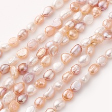 Natural Cultured Freshwater Pearl Beads Strands PEAR-G007-14