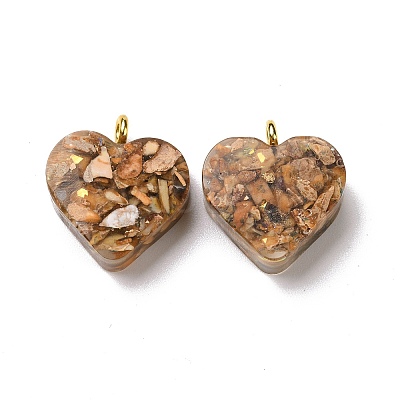 Transparent Resin Natural Imperial Jasper Dyed Chips Pendants G-E185-12G-04-1