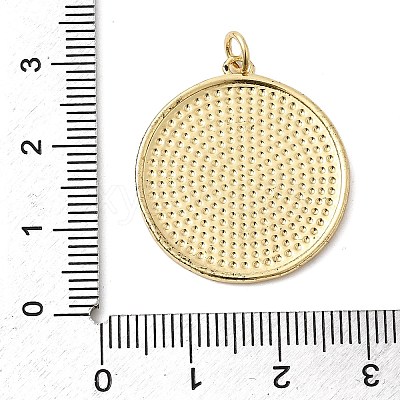 Brass Enamel Pendants KK-H529-06G-1