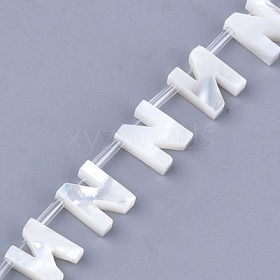 Natural Sea Shell Beads SHEL-T012-60N-1