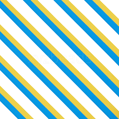25 Yards Polyester Grosgrain Ribbon OCOR-PH0007-58B-1