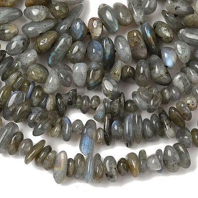 Natural Labradorite Beads Strands X-G-I225-15A-1