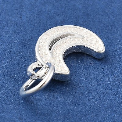 925 Sterling Silver Charms STER-S009-07B-S-1