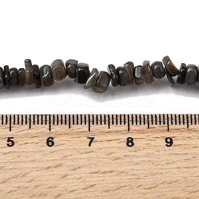 Natural Freshwater Shell Beads SHEL-B003-01J-1