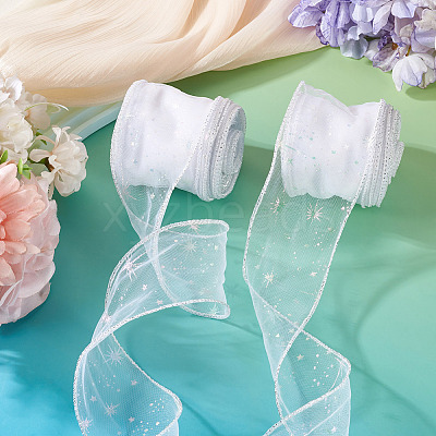 Polyester Deco Mesh Ribbons OCOR-TAC0024-004E-1