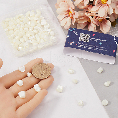 100Pcs Natural Trochid Shell/Trochus Shell Beads BSHE-SC0001-16C-1