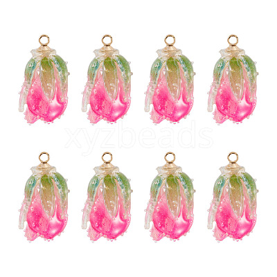 10Pcs Transparent Acrylic Pendants SACR-TA0001-66A-1