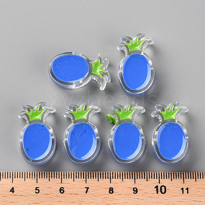 Transparent Enamel Acrylic Beads TACR-S155-002K-1