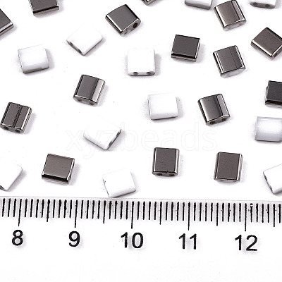 FGB 2-Hole Glass Seed Beads SEED-S031-L-ST41-H-1