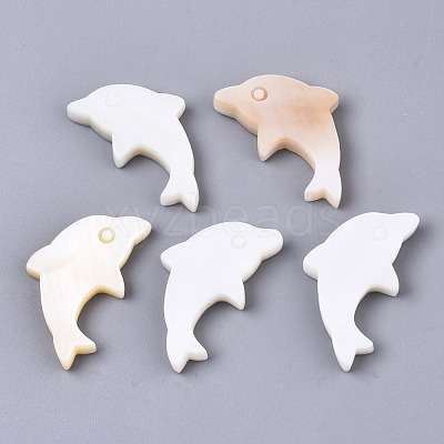Natural Freshwater Shell Beads X-SHEL-N026-52-1