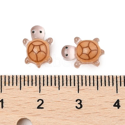 Luminous Resin Cabochons LS-RESI-U003-03E-1