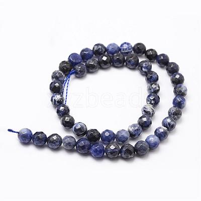 Natural Sodalite Beads Strands G-D840-19-10mm-1