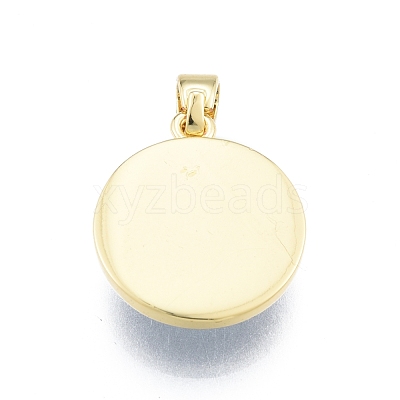 Glass Pendants KK-I691-04F-1