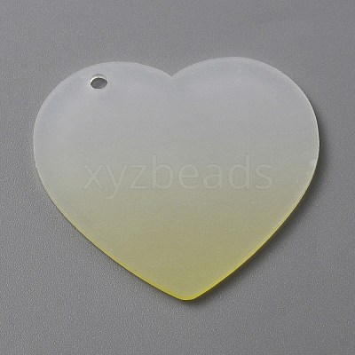 Gradient Transparent Acrylic Disc Big Pendants FIND-WH0032-54F-1